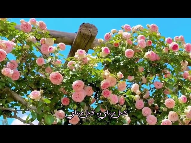 لوحة عشق