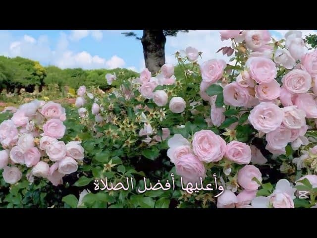 حورية انسيه وعليها افضل الصلاة