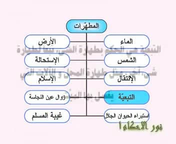 المطهرات