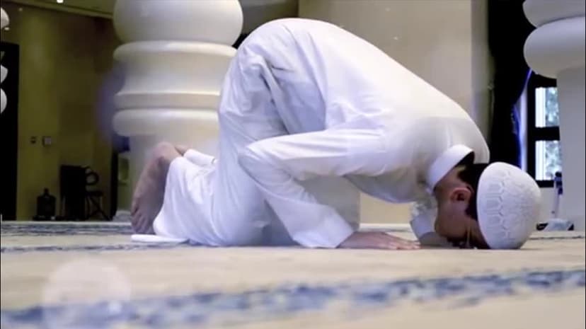 شبكة رافـد