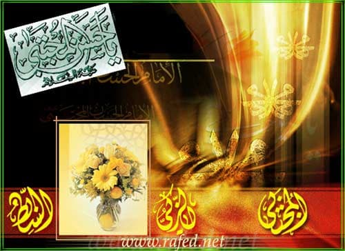 ولادة الامام الحسن المجتبى(ع)