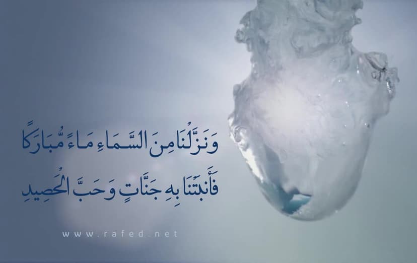 وَنَزَّلْنَا مِنَ السَّمَاءِ مَاءً مُبَارَكًا فَأَنْبَتْنَا بِهِ جَنَّاتٍ وَحَبَّ الْحَصِيدِ