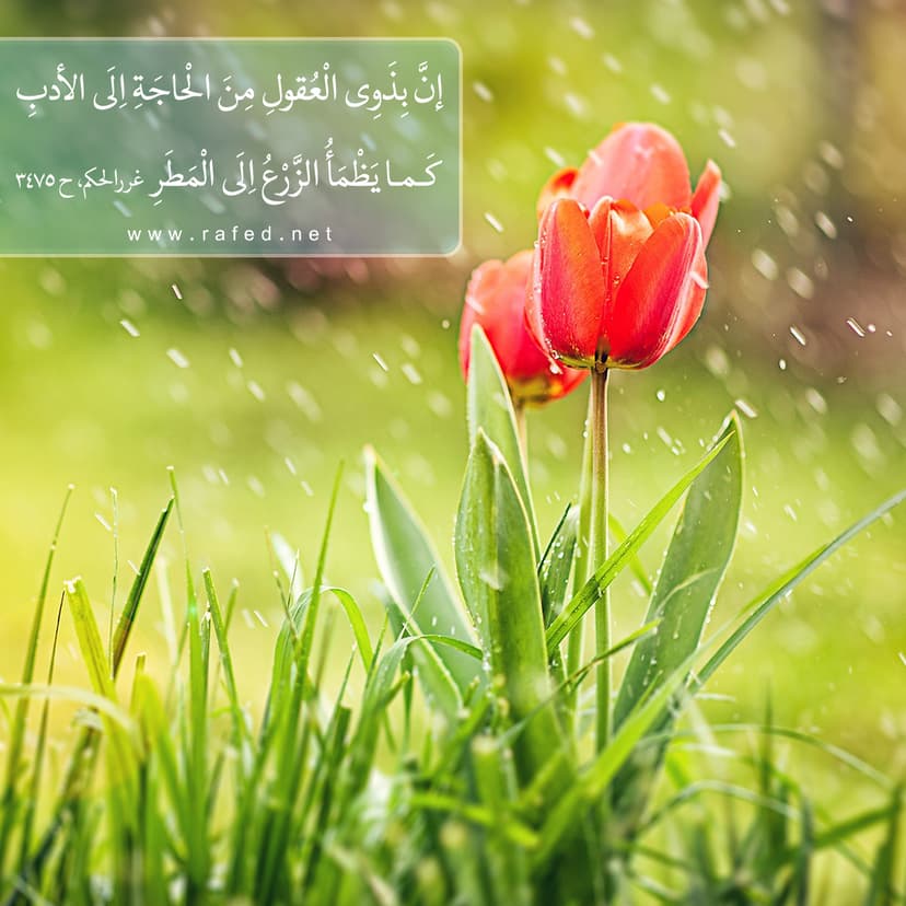 اِنَّ بِذَوِى الْعُقولِ مِنَ الْحاجَةِ اِلَى الاَْدَبِ