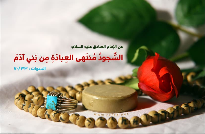 السُّجودُ مُنتَهى العِبادَةِ