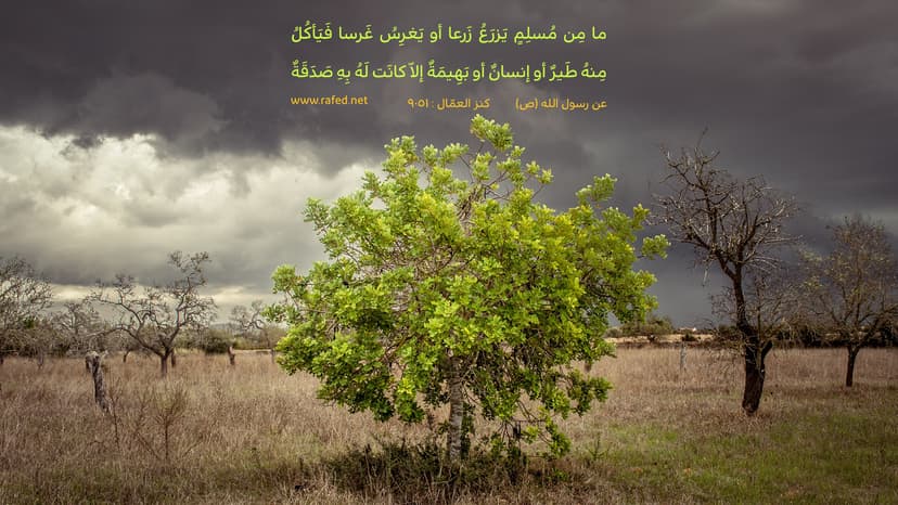  ما مِن مسلِمٍ يَغرِسُ غَرسا أو يَزرَعُ زَرعا