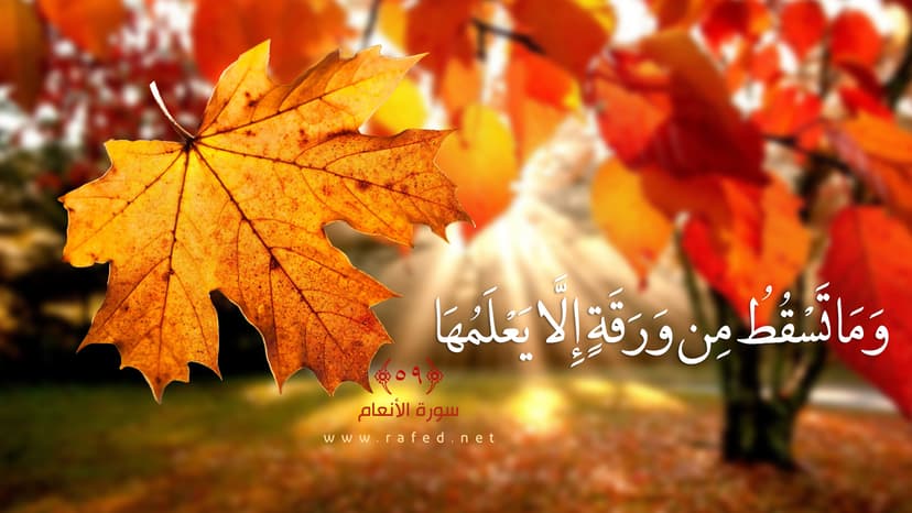 وَمَا تَسْقُطُ مِنْ وَرَقَةٍ إِلَّا يَعْلَمُهَا