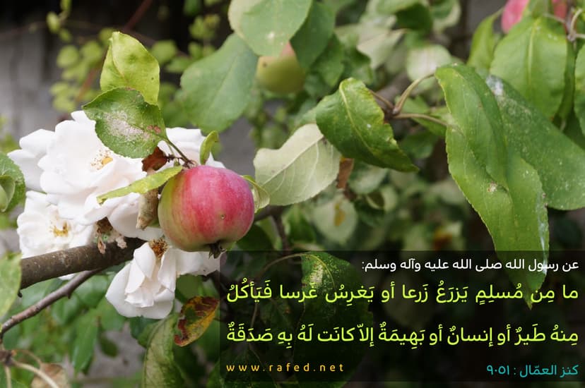 ما مِن مسلِمٍ يَغرِسُ غَرسا أو يَزرَعُ زَرعا