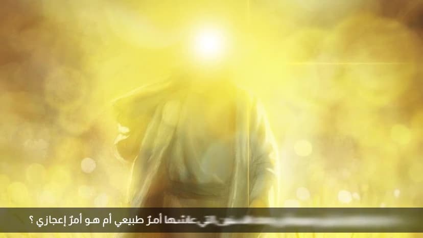 طول عمر الامام المنتظر