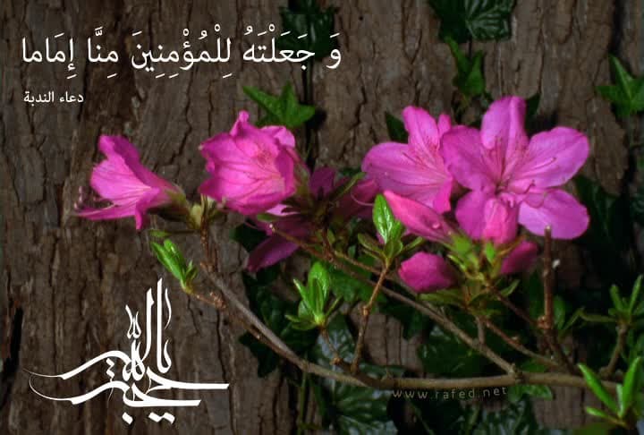 یاحجة الله