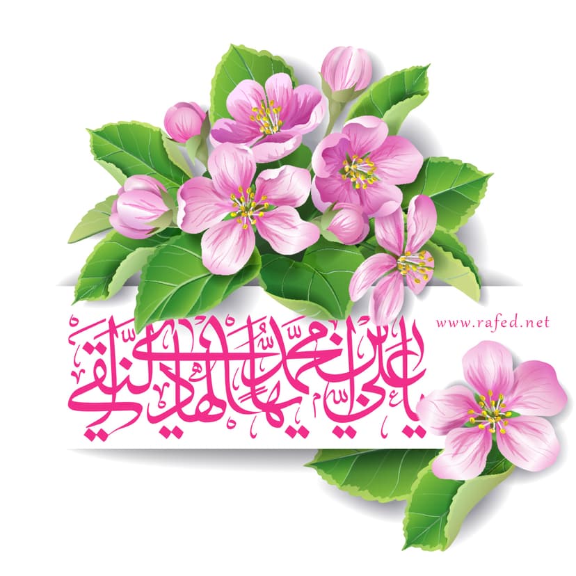 یا عَلِیَّ بنَ مُحَمَّدٍ اَیُّهَا الهادیِ النِّقِیُّ (ع)