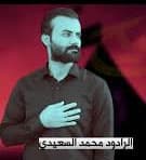 محمد السعيدي