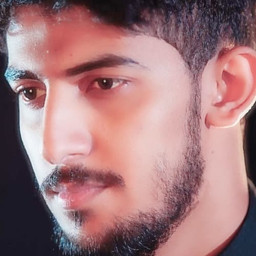 حيدر الحلواجي