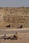 غير معروف
