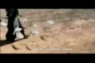 هالنوح يا زهراء