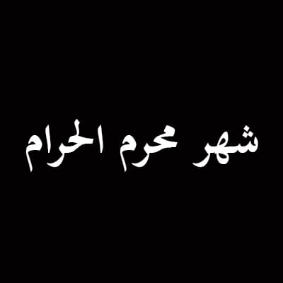 الشيخ ضياء ولي