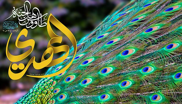 في ذكر مولد الإمام المهدي عليه السلام واسم أُمّه