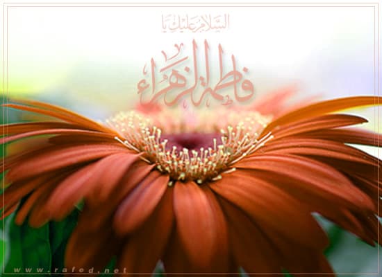 image box