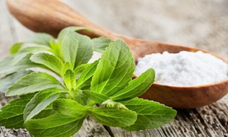 هل سكر ستيفيا مسموح في الرجيم؟