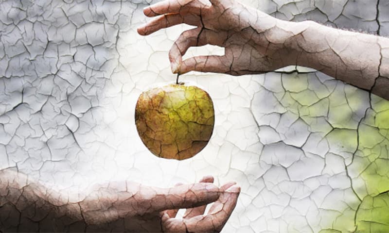 إخراج النبي آدم عليه السلام من الجنة في الشرايع الإلهية