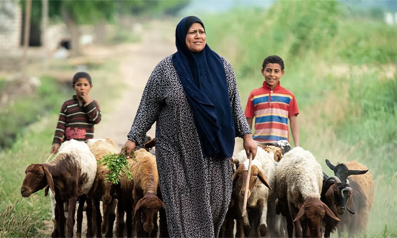 المرأة الريفية أم الحضارة الإنسانية