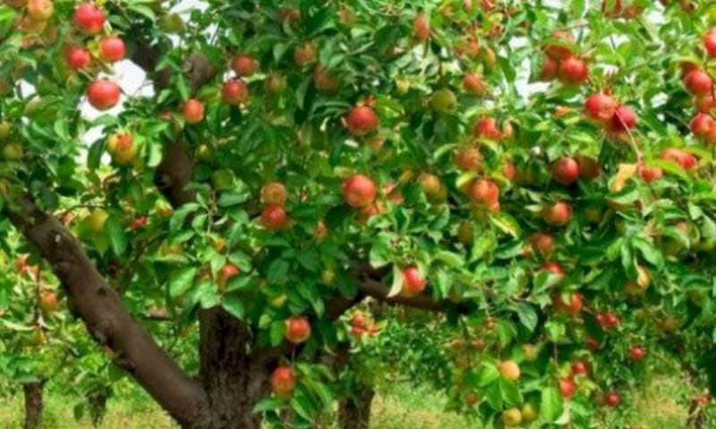 قصة خروج آدم وحواء عليهما السلام من الجنة