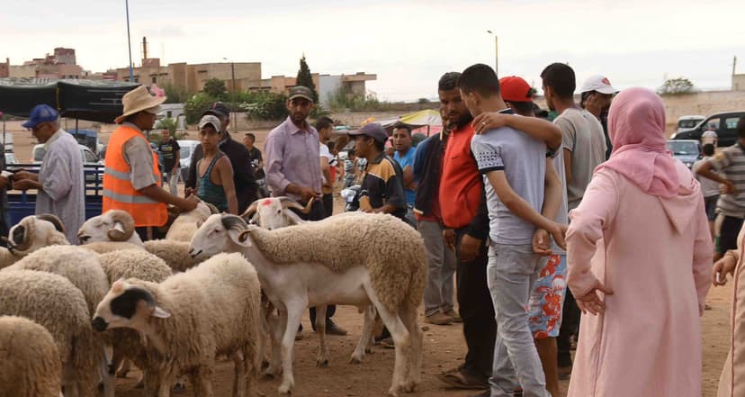 عيد الأضحى وإعادة بناء الروابط الأسرية 