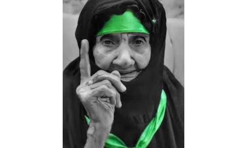 عجوز المئة عام؛ درب المواساة إلى كربلاء