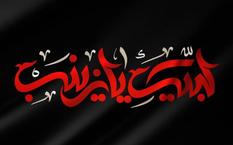 الحياة الفردية والعائلية للسيدة زينب الكبرى سلام الله عليها