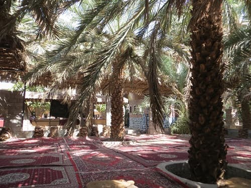 مزرعة الشيخ العمري؛ بستان الشيعة في المدينة المنورّة