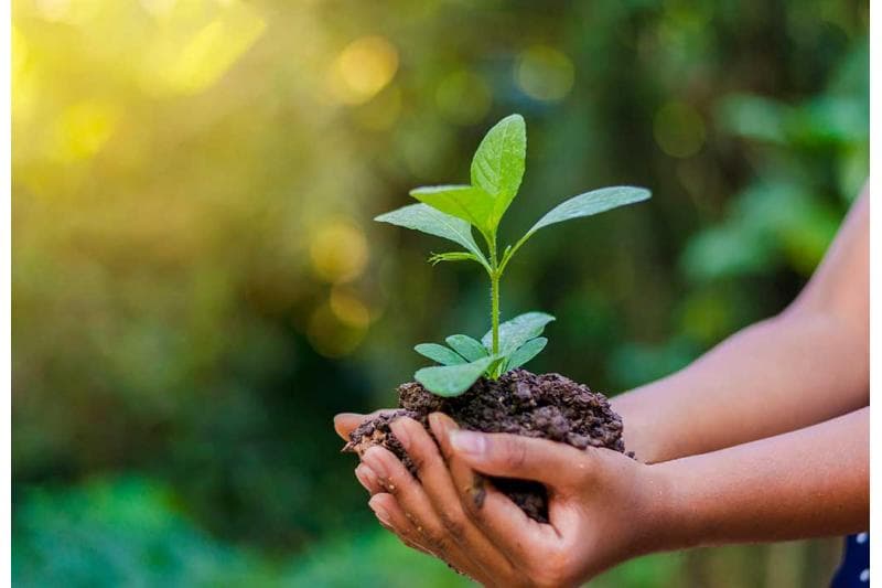 حماية البيئة مسؤولية عالمية وأمر إلهي