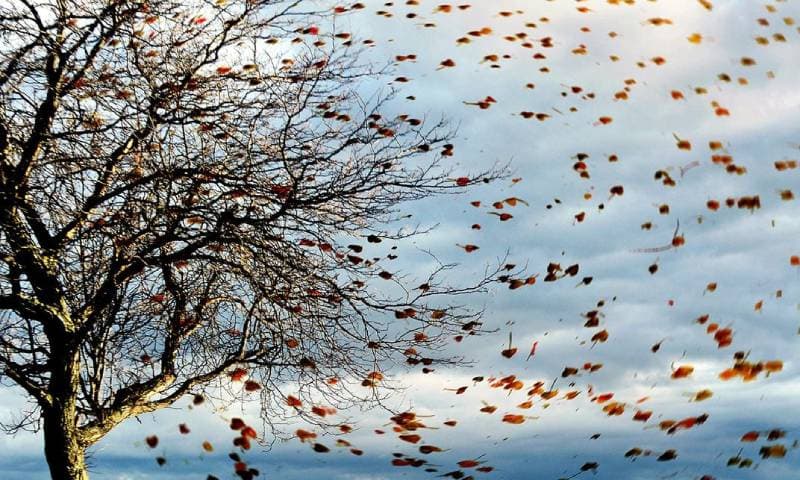 تحذيرات خطيرة من رياح الخريف الباردة